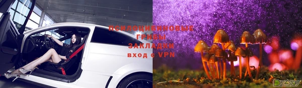 спайс Алексин