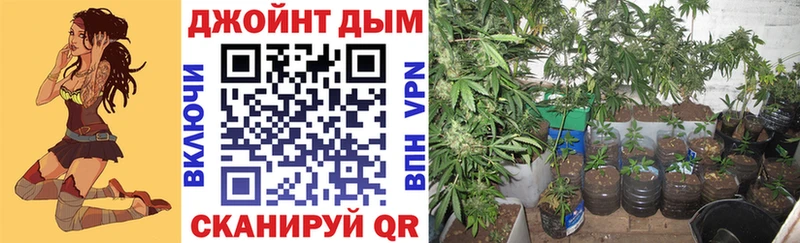 Шишки марихуана OG Kush  Орёл 